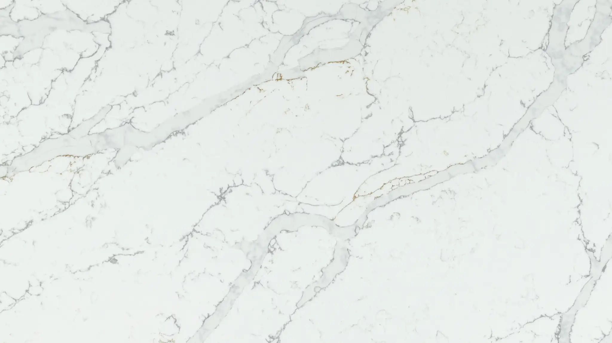 Calacatta Gold Shimmer