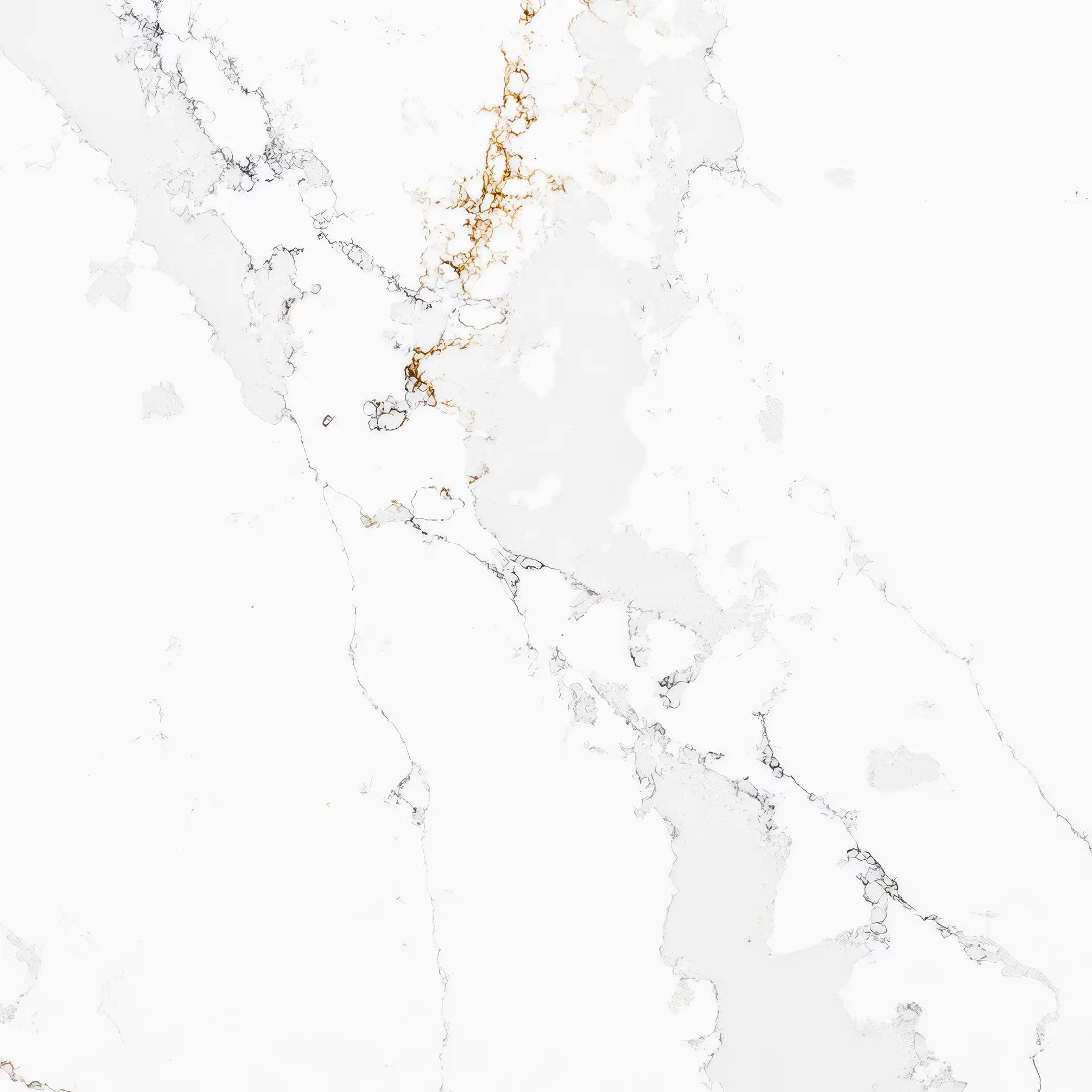 Calacatta Gold Premium