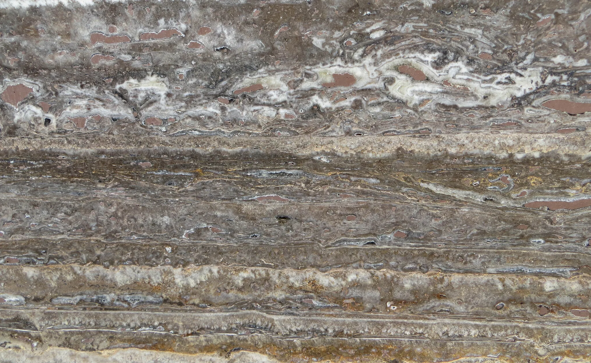 Travertine Titanium